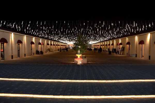 C0863.00_00_42_00.Still010